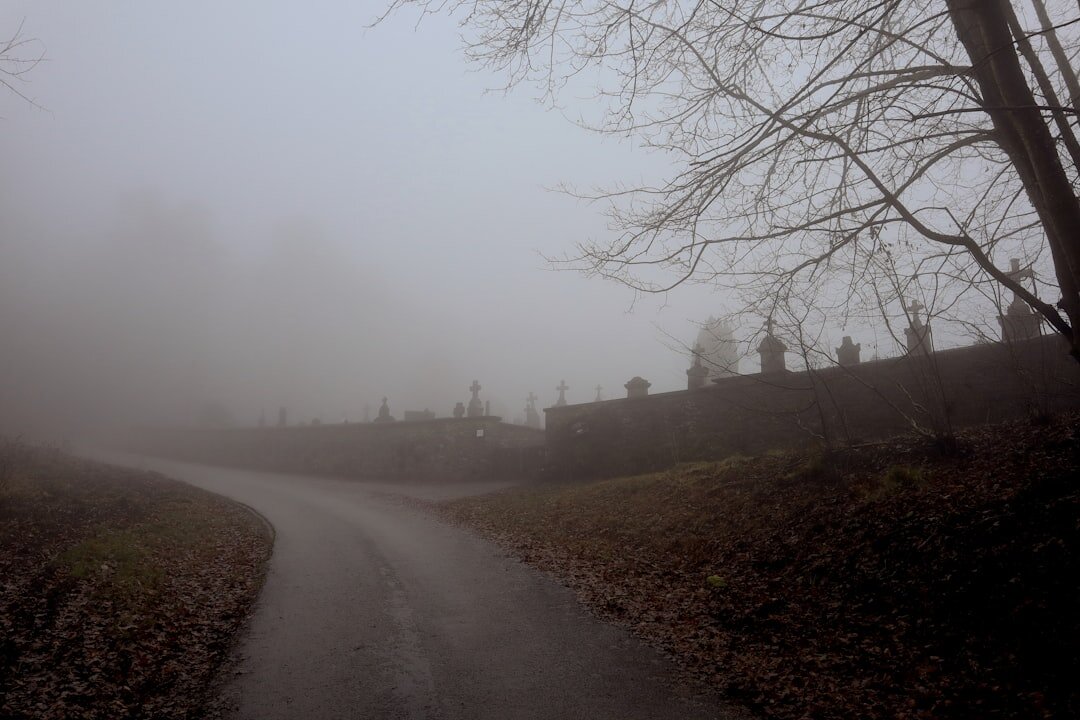 foggy graveyard scene