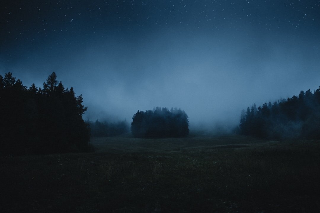 dark stormy forest at night
